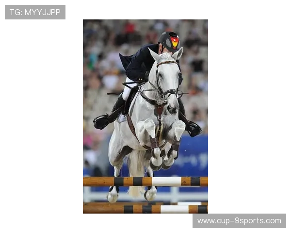 法国马术队在巴黎奥运会障碍赛团体决赛中获得铜牌，展现出色表现。